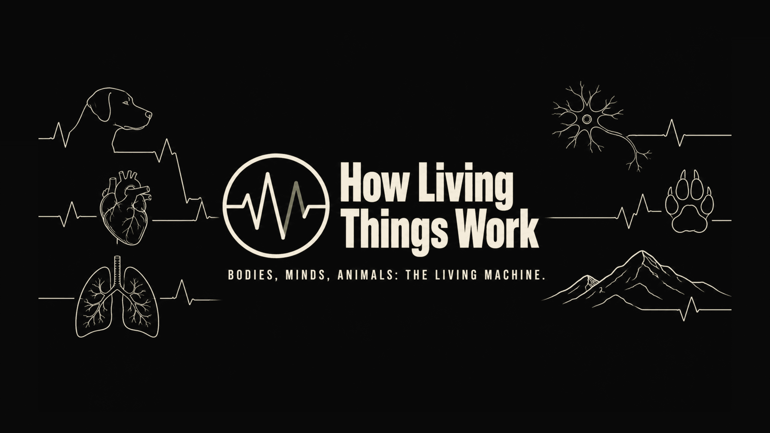 How Living Things Work channel banner artwork
