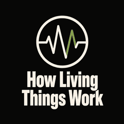 How Living Things Work logo